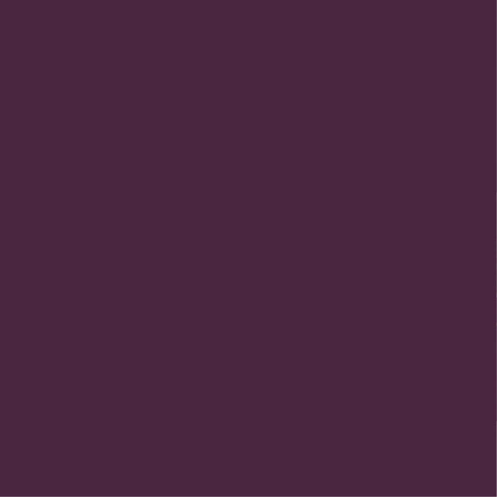 Peinture intérieure Aubergine finition veloutée - 