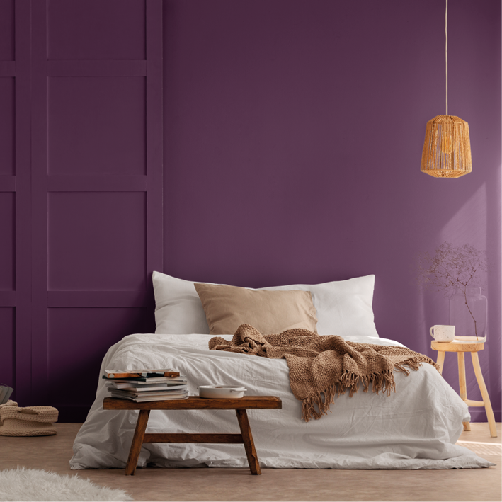 Peinture intérieure Aubergine finition veloutée - 