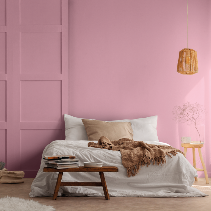 Peinture intérieure Flandres finition veloutée - 