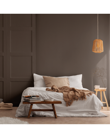 Peinture intérieure Brun Ours finition veloutée