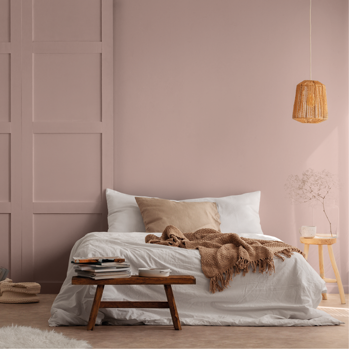 Peinture intérieure Marron Glacé finition veloutée - 