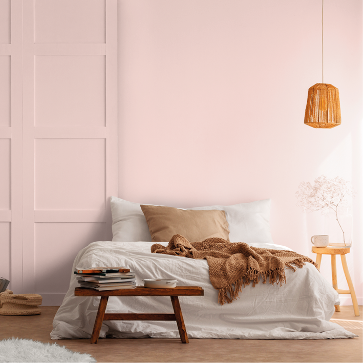 Peinture intérieure Ballerine finition veloutée - 