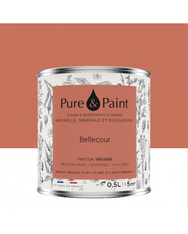 Peinture intérieure Bellecour finition veloutée