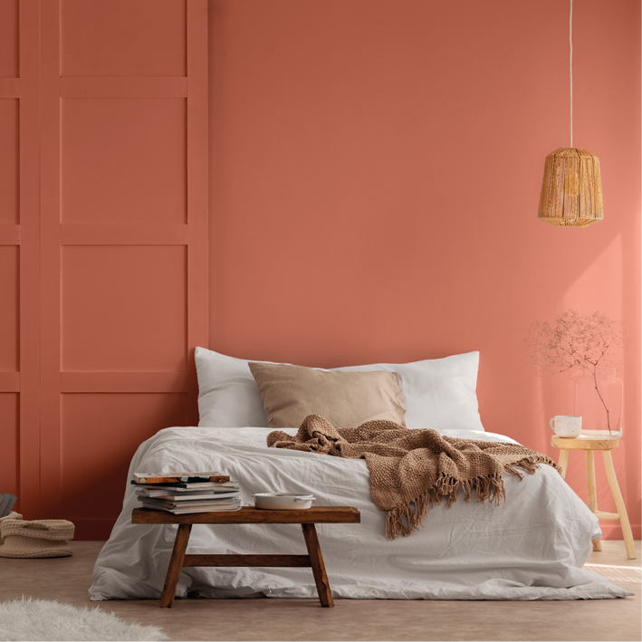 Peinture intérieure Bellecour finition veloutée - 