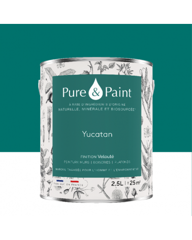Peinture intérieure Yucatan finition veloutée