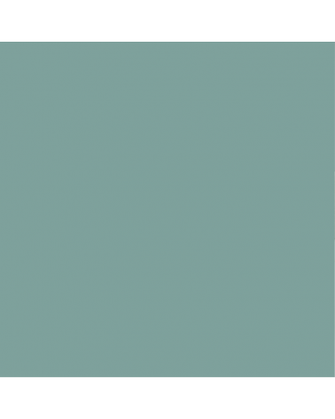 Peinture intérieure Vert de Gris finition veloutée