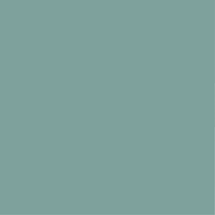 Peinture intérieure Vert de Gris finition veloutée - 