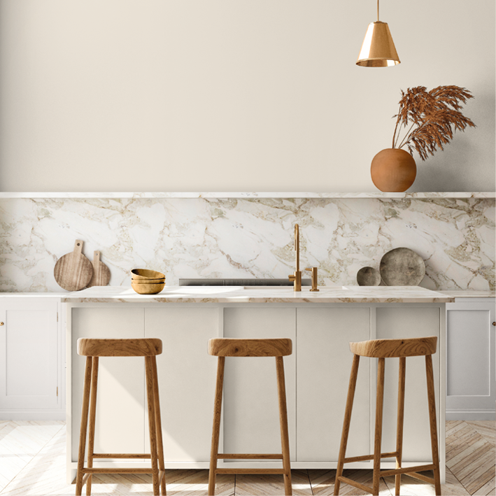 Peinture intérieure Bouleau finition veloutée - 