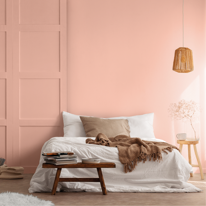 Peinture intérieure Roséus finition veloutée - 