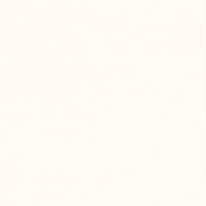 Peinture intérieure Blanc finition veloutée - 