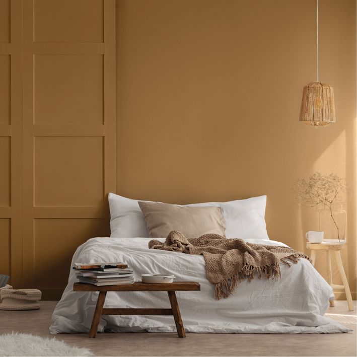 Peinture intérieure Casse-noisette finition veloutée - 
