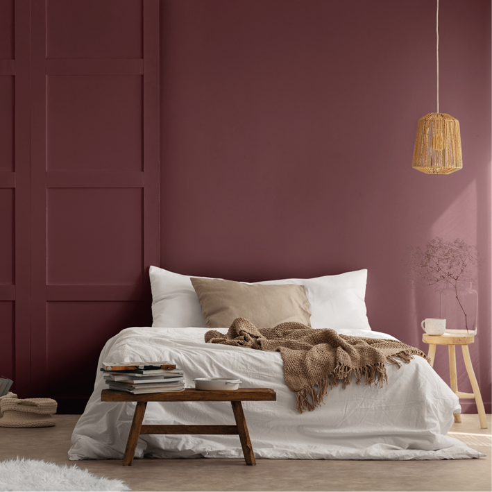 Peinture intérieure Marron d'Inde finition veloutée - 