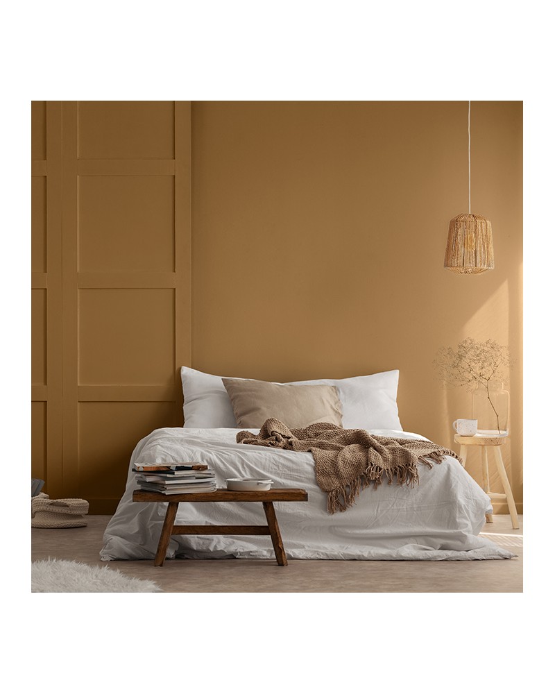 Peinture Casse Noisette Peinture intérieure veloutée Pure & Paint — free download