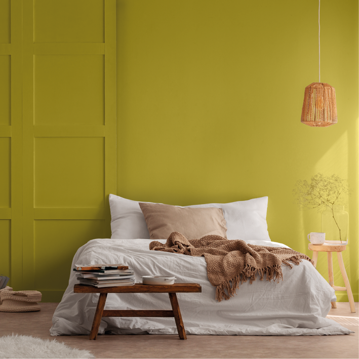 Peinture intérieure Amazonie finition veloutée - 