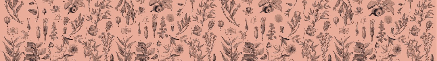 Peinture rose | Peinture mur et plafond | Pure&Paint